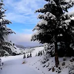Διαμέρισμα Haus Zum Sternen *