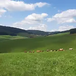 Haus Zum Sternen Διαμέρισμα