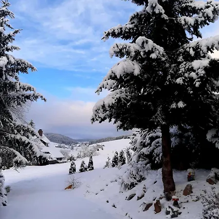 Apartment Haus Zum Sternen *