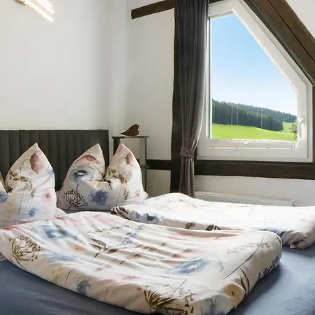 Haus Zum Sternen 公寓 Vöhrenbach
