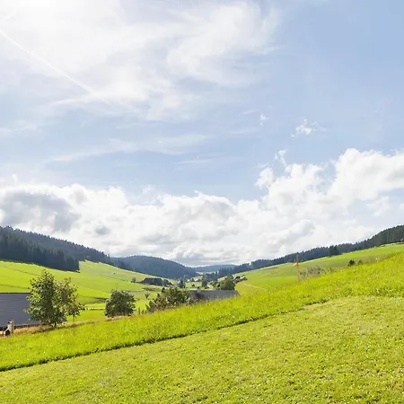 Haus Zum Sternen Appartement Vöhrenbach