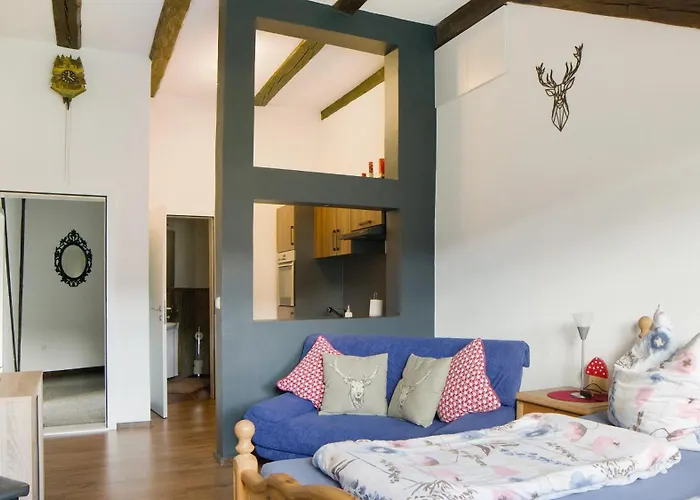 Haus Zum Sternen شقة Vöhrenbach