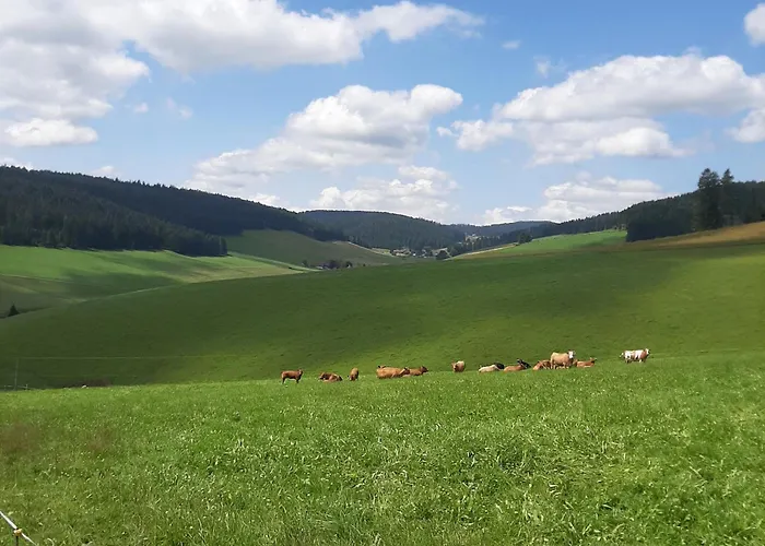 Haus Zum Sternen شقة
